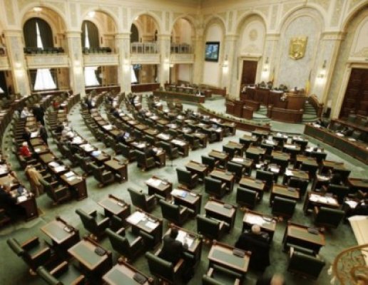 Nicolăescu: Comisia de anchetă pentru referendum va fi la Senat şi va audia cetăţenii